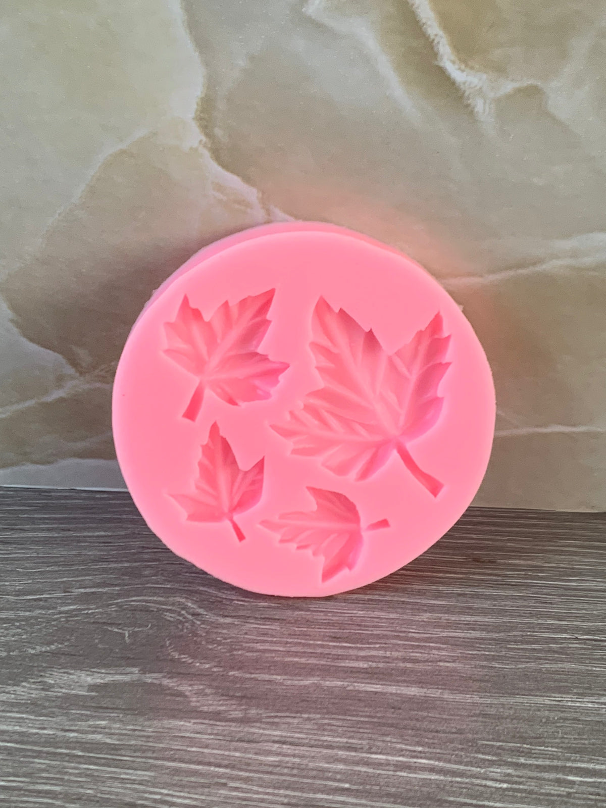 Molde silicona hojas