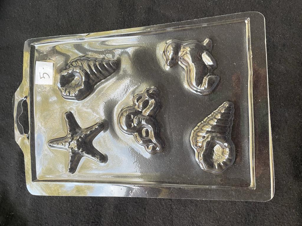 Molde Acetato Ambiente Marino 6 Cavidades