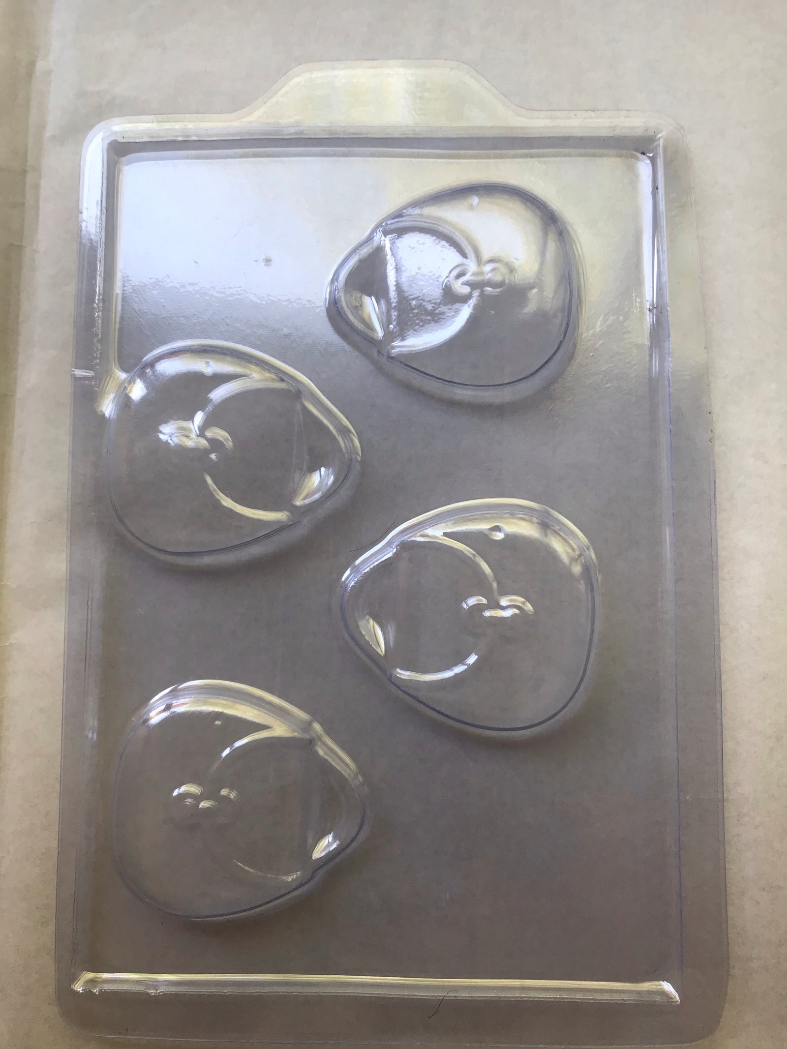 Molde Acetato Cartera